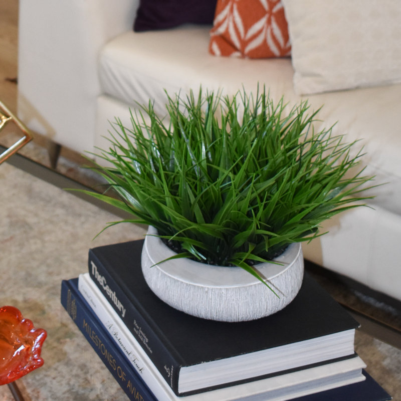 Primrue 9'' Artificial Foliage Grass in Decorative Vase Wayfair